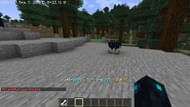 The command might not work at times due to the limited radius of blocks it searches for mobs in Minecraft (Image via Mojang)